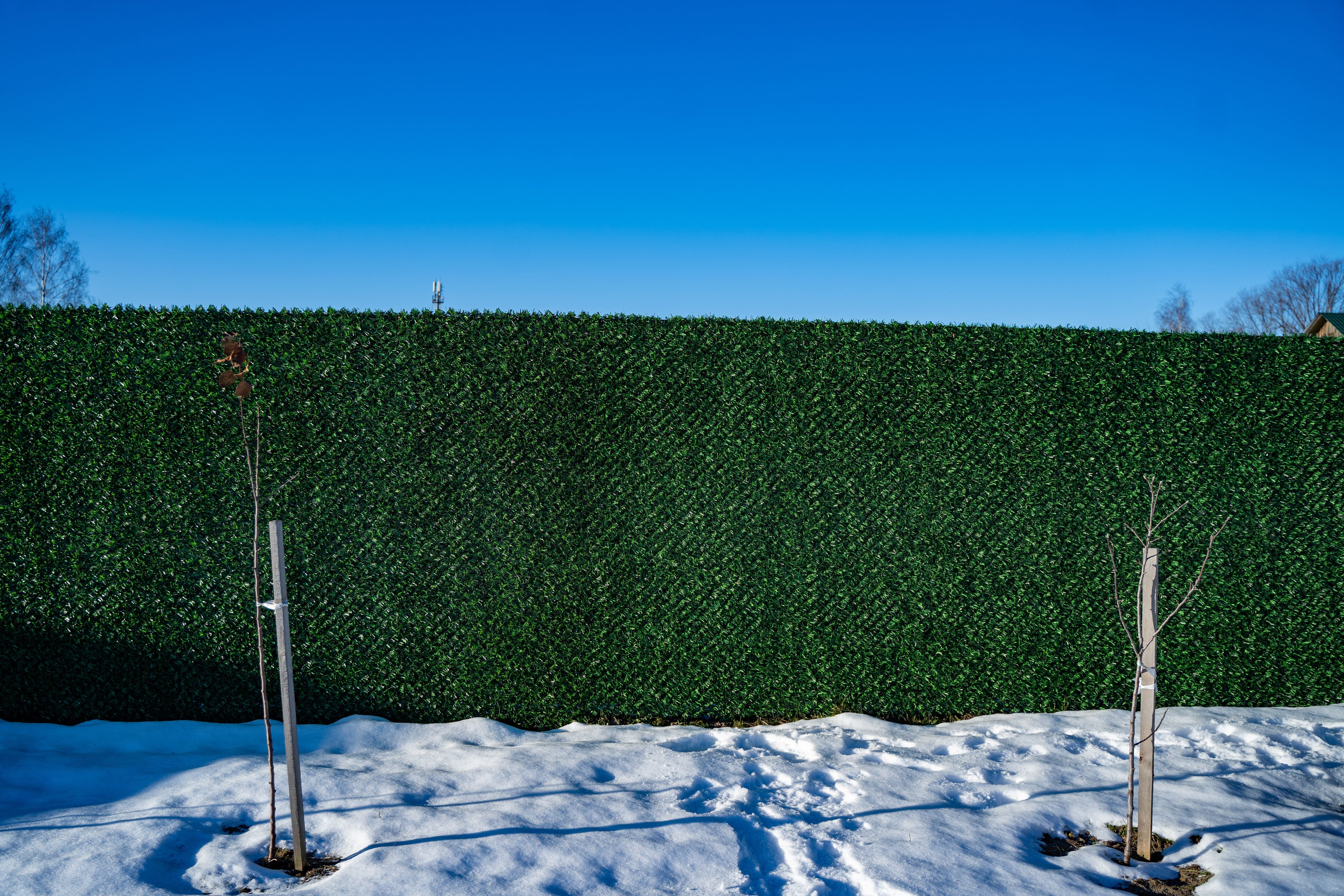 Вечнозеленый забор Grass Fence рулон 2м фото 8 в Березниках