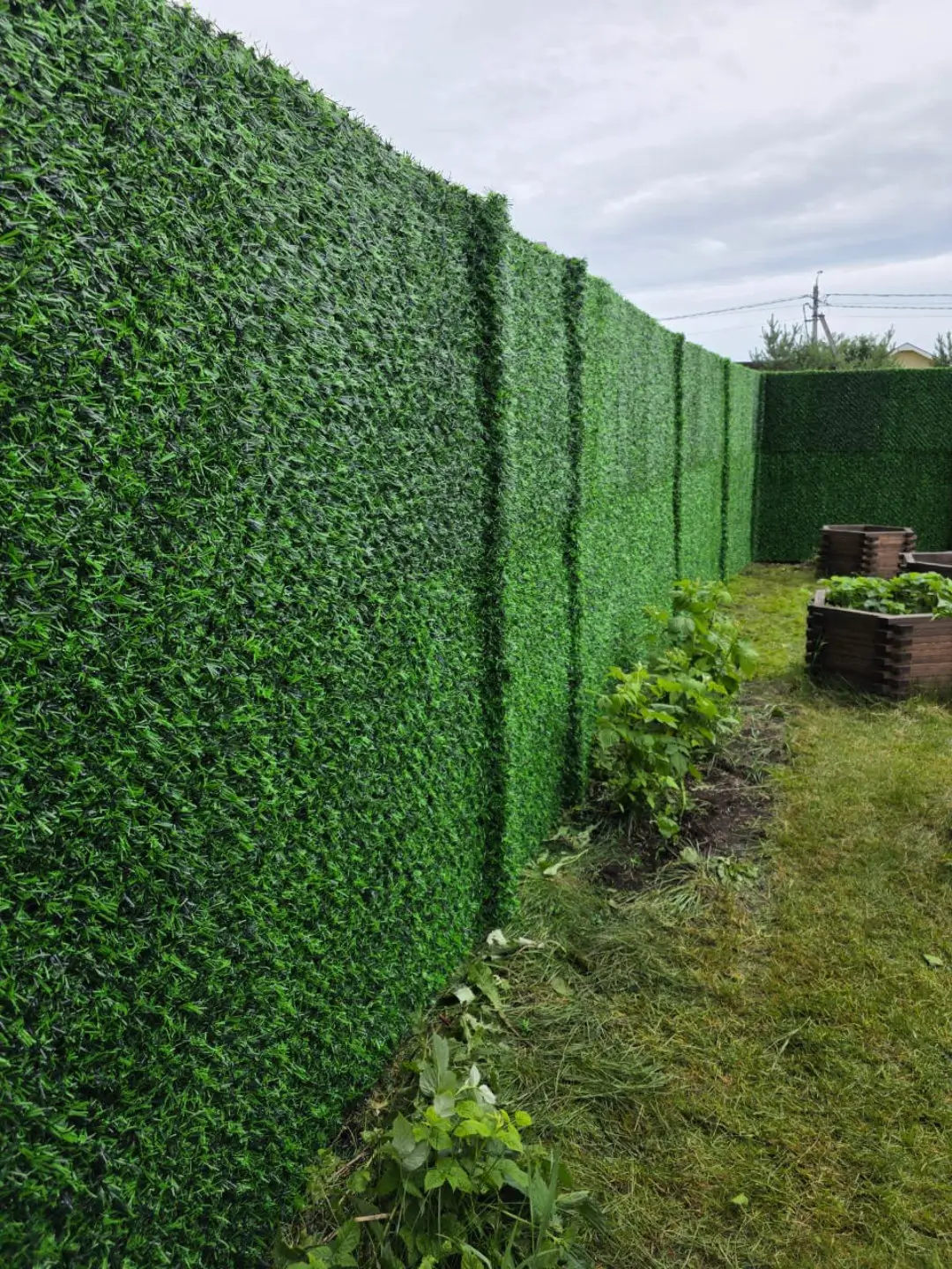 Вечнозеленый забор Grass Fence 37м фото 1 в Березниках
